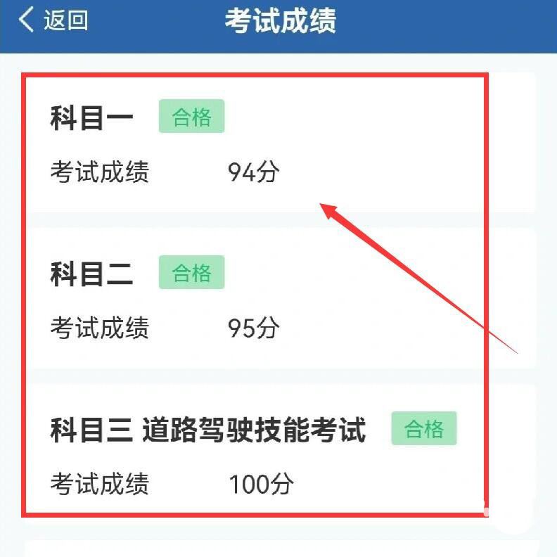 交管12123怎么查询驾驶证考试记录? 交管12123app查考试记录的技巧