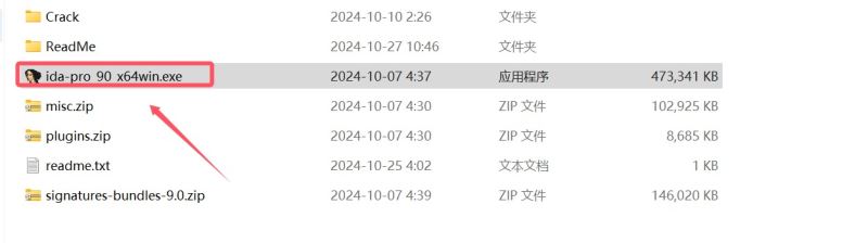 IDA下载反汇编工具Hex-RaysIDAv9.0.240925多语安装免费授权版下载
