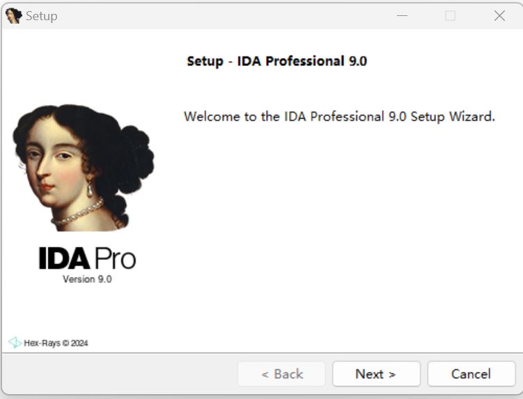 IDA下载反汇编工具Hex-RaysIDAv9.0.240925多语安装免费授权版下载