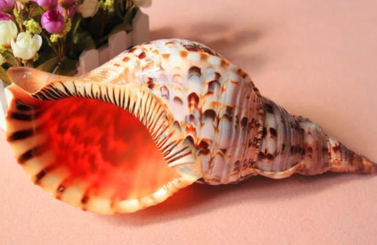 1658128484160329.jpg 1658128484160329.jpg