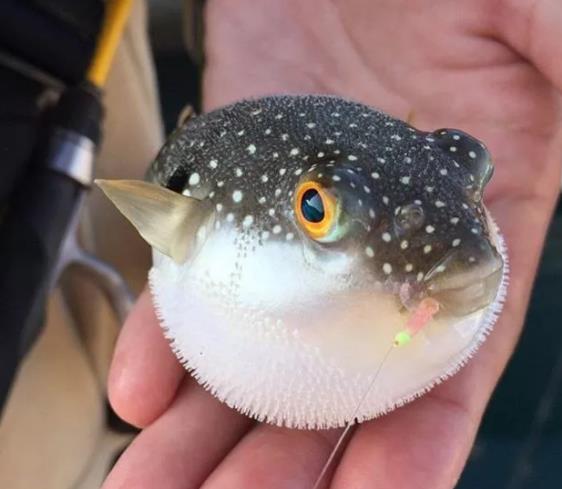 1658128484170509.jpg 1658128484170509.jpg