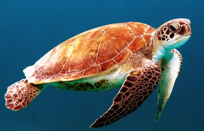 1658128484175505.jpg 1658128484175505.jpg