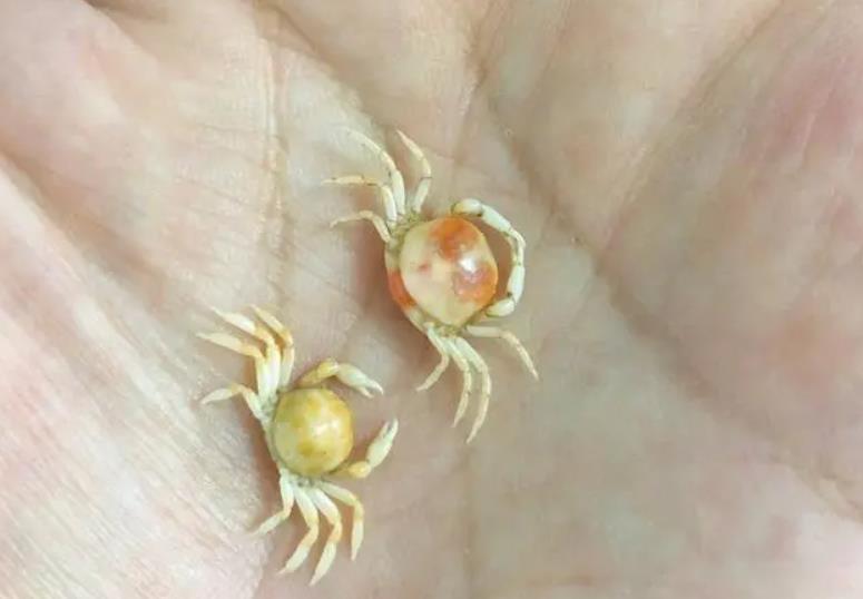 1658128484252986.jpg 1658128484252986.jpg