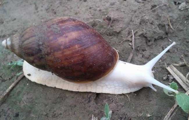 1658128484509313.jpg 1658128484509313.jpg