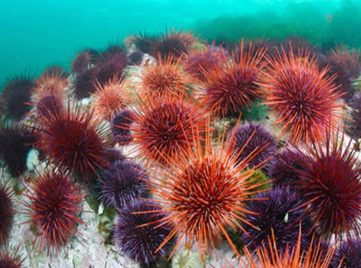 1658128484631207.jpg 1658128484631207.jpg