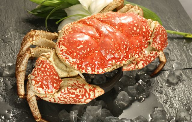 1658128484685639.jpg 1658128484685639.jpg