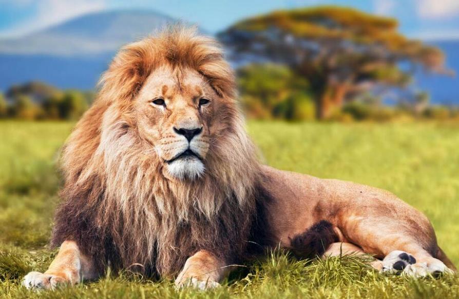 1658133626188758.jpg 1658133626188758.jpg