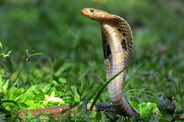 1658133626767575.jpg 1658133626767575.jpg