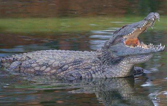 1658133626828498.jpg 1658133626828498.jpg