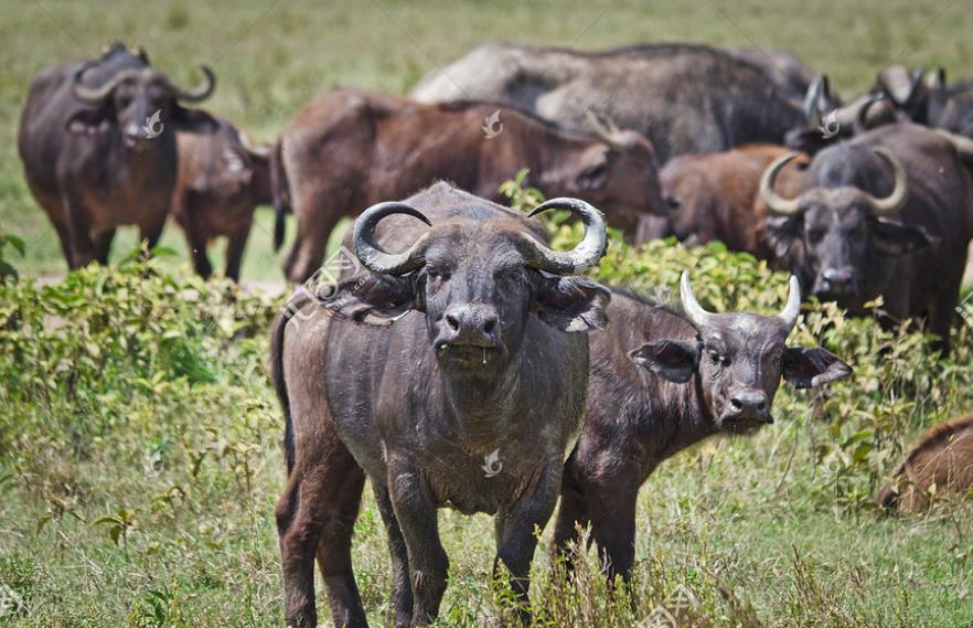 1658133627180887.jpg 1658133627180887.jpg