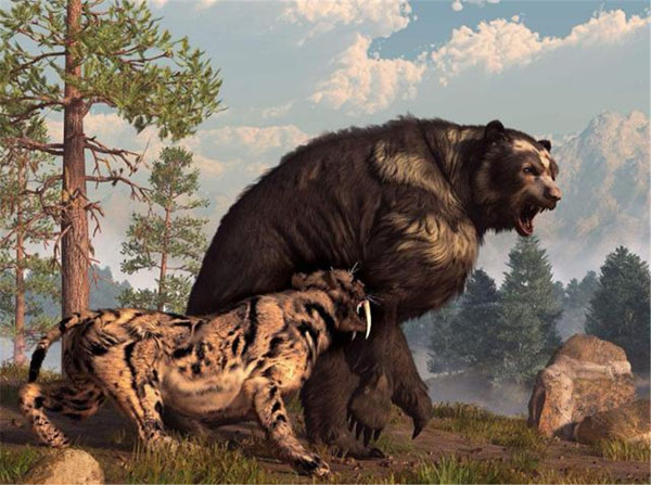 1659595914810391.jpg 6.jpg