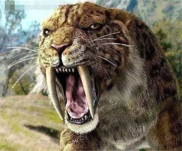 1659595921654784.jpg 7.jpg