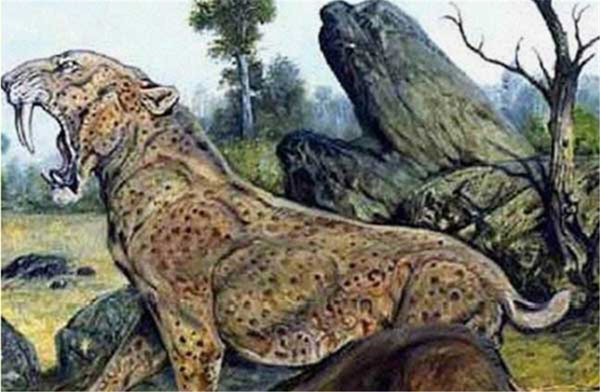 1659595930969312.jpg 8.jpg