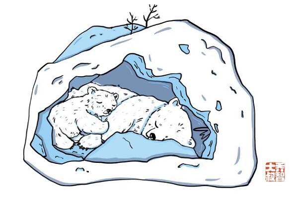 给幼儿园小朋友的“动物的家”图鉴