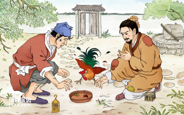 世界十大名贵蟋蟀排名,蟋蟀哪个品种最值钱?