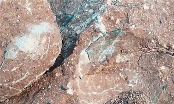 不愧是“恐龙之乡”:河源一男子散步时意外发现恐龙蛋化石