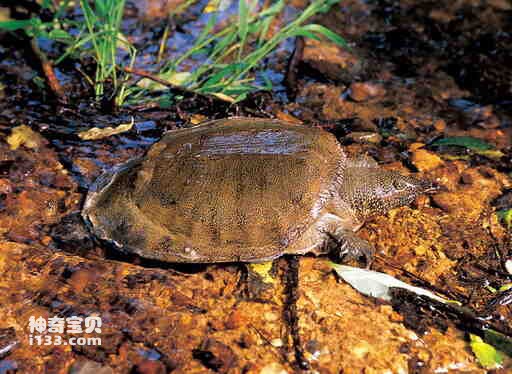 2023021416400174.jpg 3(1).jpg