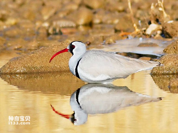 2023021918842791.jpg 3(1).jpg