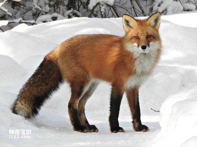 屏幕快照 2023-06-05 下午8.14.21.jpg