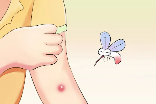 艾草能驱蚊子吗？科学解析艾草的驱蚊效果