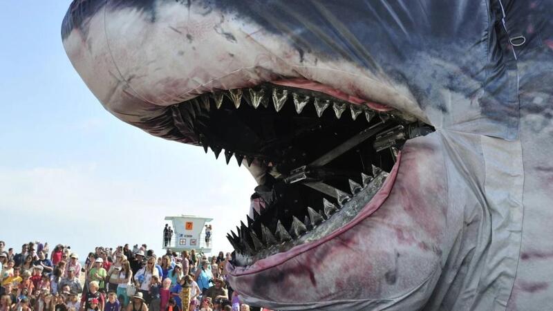 现存十大最大的鲨鱼