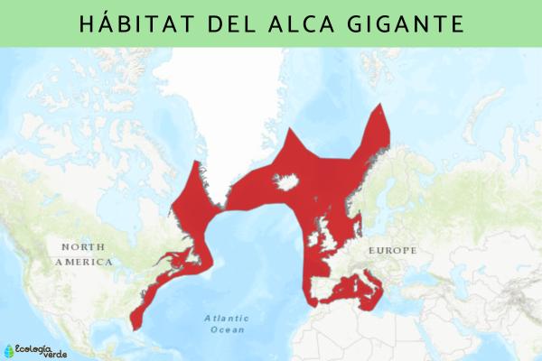 大海雀：灭绝原因、栖息地和饮食 - 大海雀栖息地