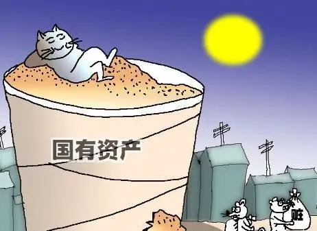 国有资产管理办法是什么