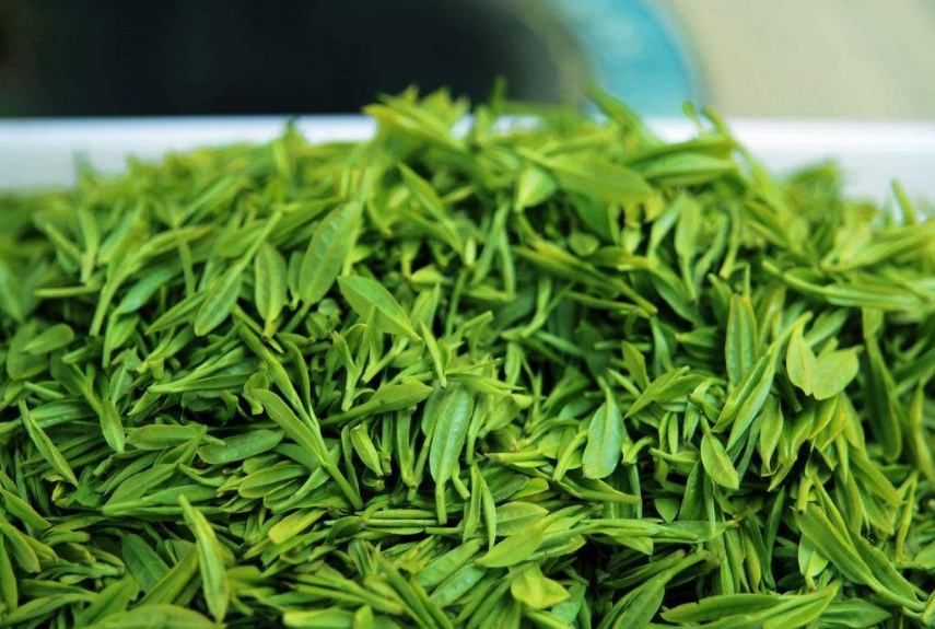  绿茶的功效与作用 喝绿茶的禁忌