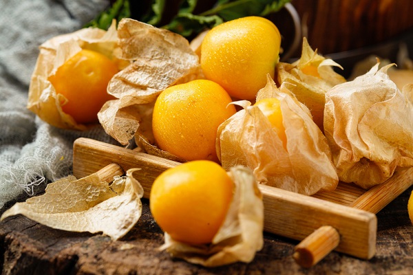  灯笼果的作用与功效