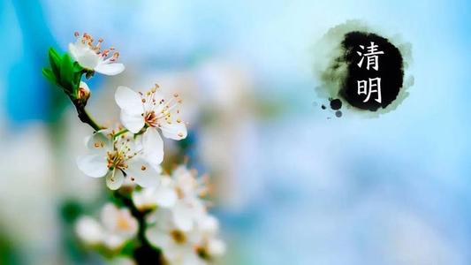  清明节里的“中医味”