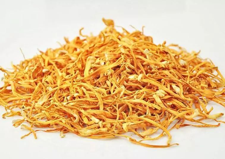  虫草熟地老鸭汤具有滋肺补肾还可以养胃的功效及做法