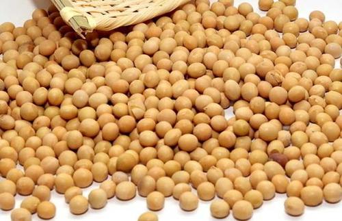  大豆有哪些功效与作用及禁忌呢