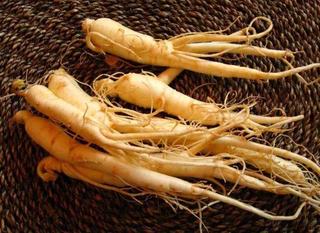  人参有哪些功效与作用及注意事项呢