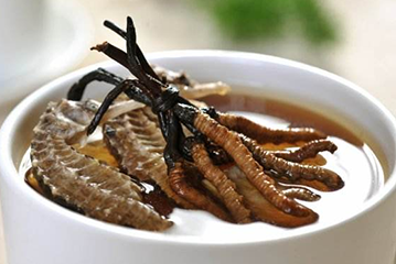  养生保健吃冬虫夏草，但你知道它的具体功效作用吗