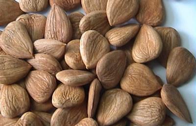  桃仁有哪些功效与作用及注意事项呢