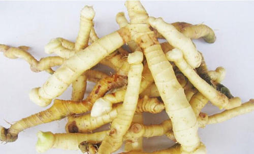  玉竹有哪些功效与作用及注意事项呢