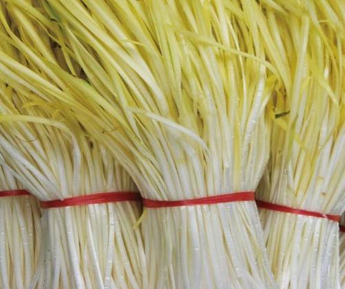  韭黄有哪些功效作用及注意事项