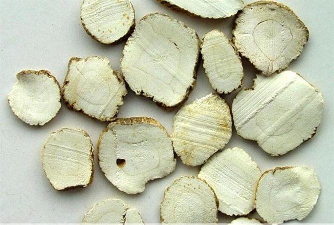  天花粉有哪些功效与作用及注意事项