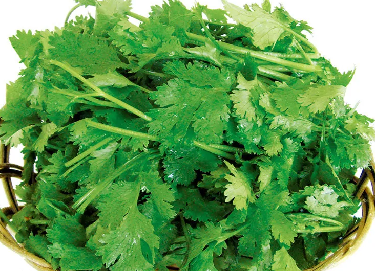  香菜有哪些功效作用