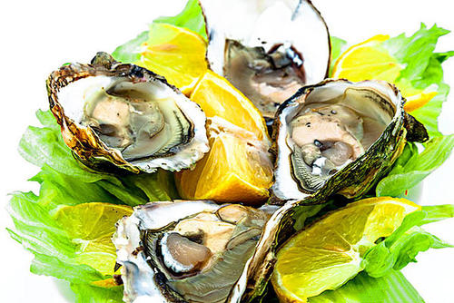  牡蛎知母莲子汤的食疗制作方法