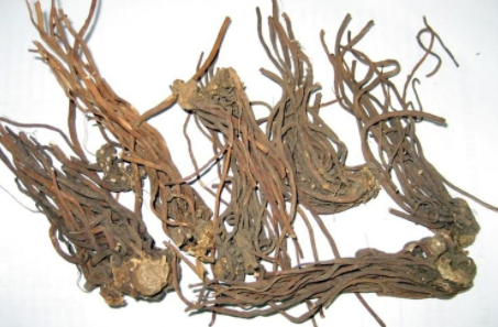  鬼臼的功效与作用有哪些