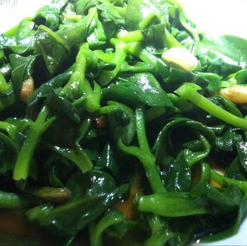  清炒穿心莲的食疗制作方法