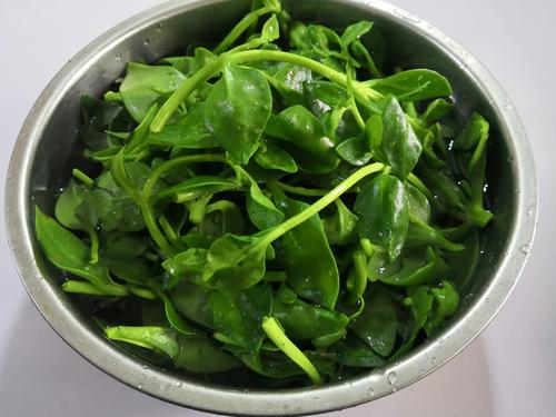  凉拌穿心莲的食疗制作方法