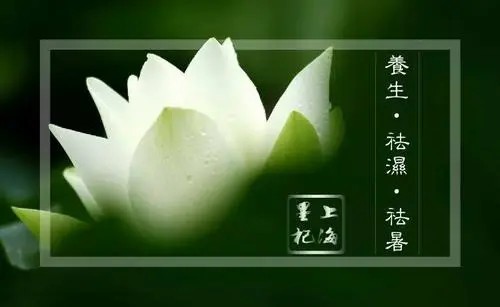  三伏天养生攻略你都知道吗