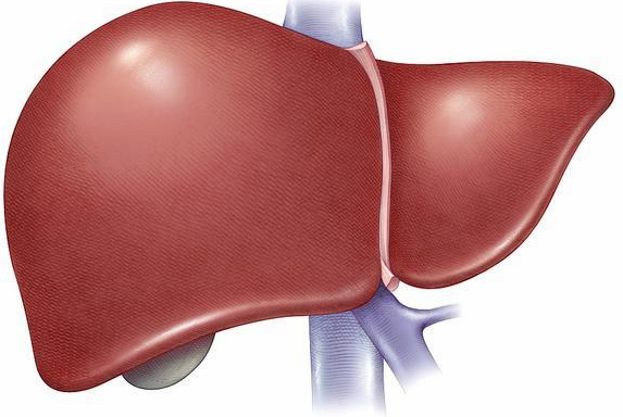  记住这些禁忌，让蜂蜜益处加倍