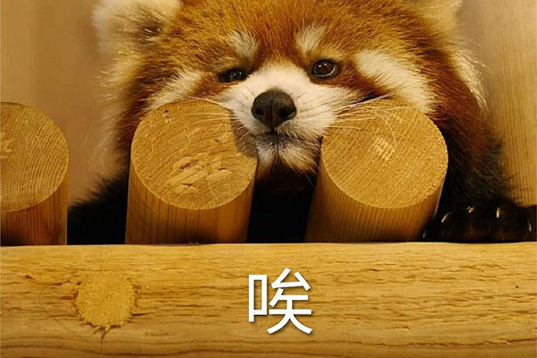 叹气是肝气郁结