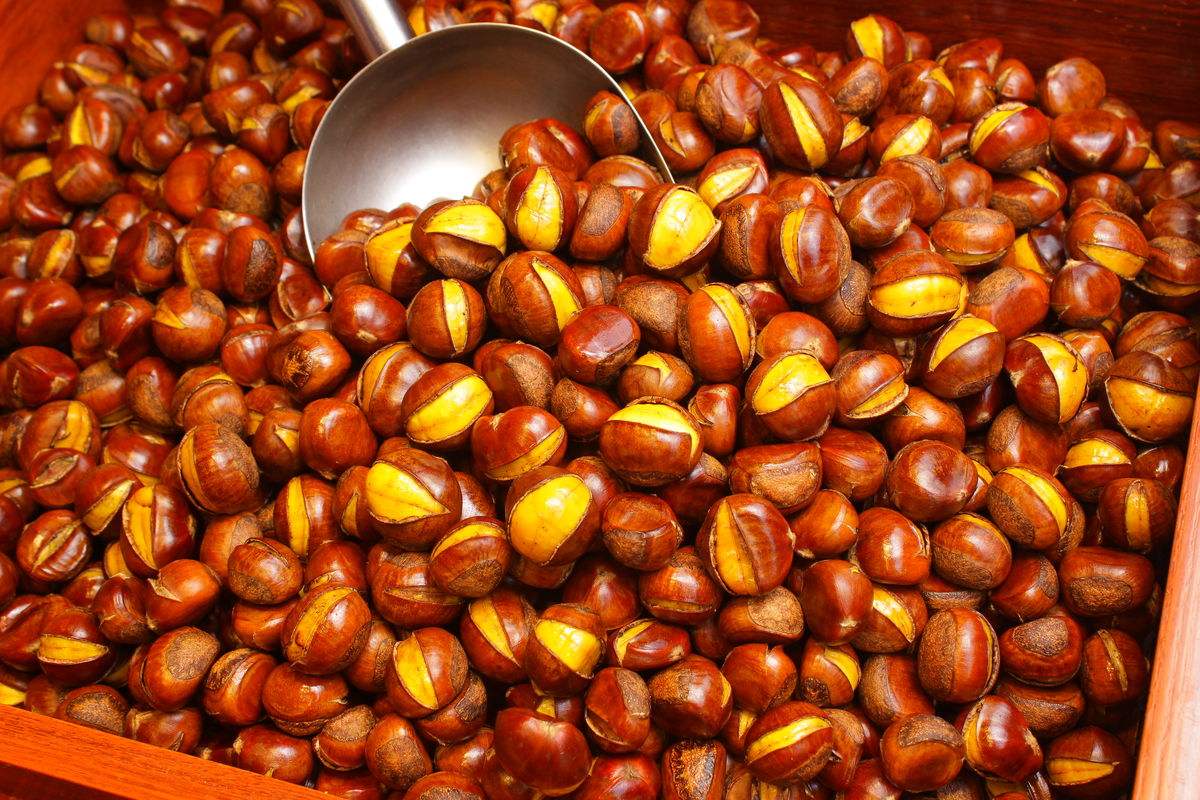  常吃板栗有哪些好处呢？