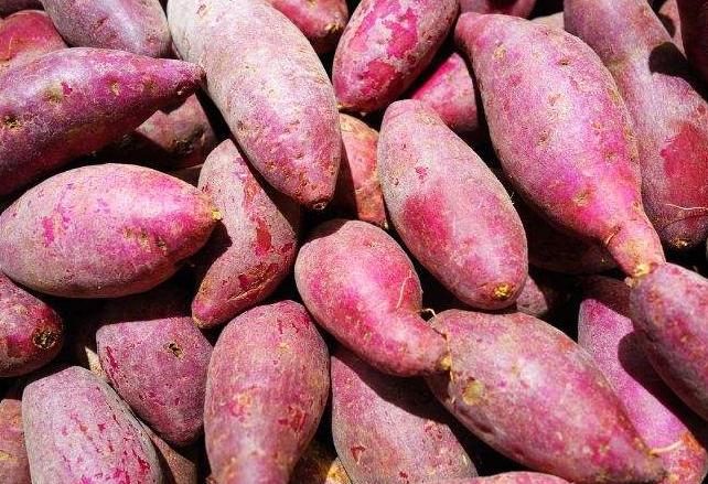  红薯虽美味，但也存在食用禁忌