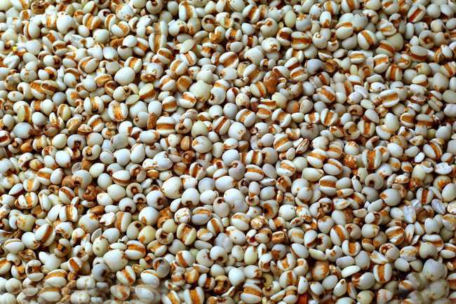 消化能力差少喝薏米茶