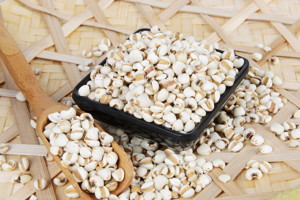 高血脂患者少吃薏米